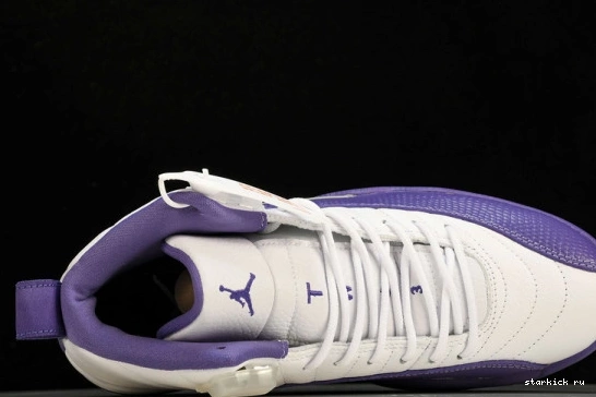 Purple Retro Jordan 12 CT8013-150 CT8013-150 0108